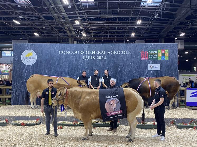 Les gagnants des championnats mâle et femelle, Olabelle et Rio, avec la lauréate du trophée Label rouge bouchère, Palombe.