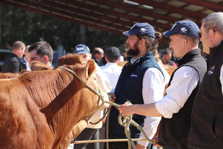 Pierre-Herni Dessalas au festival limousin de Chabanais en 2023.