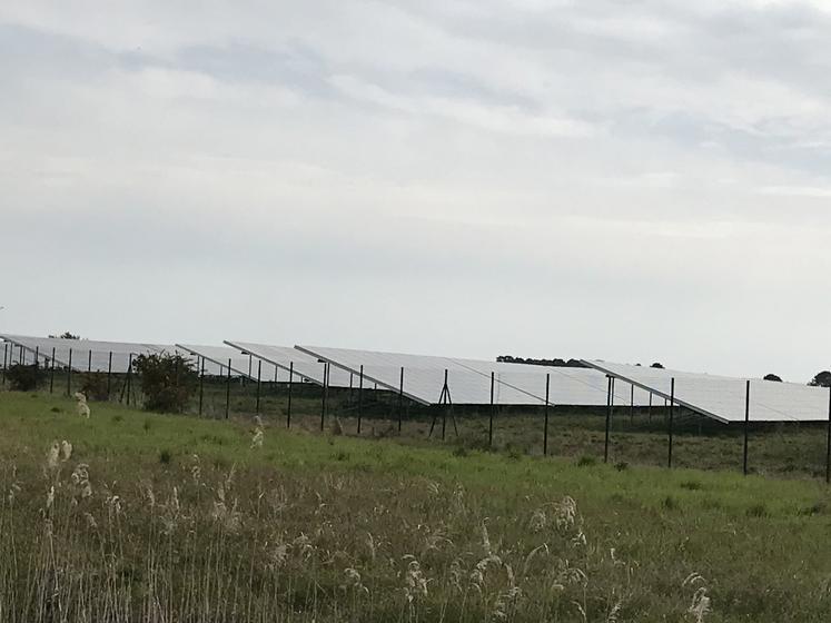 Le décret survient après de longues négociations entre l'administration, les énergéticiens et le monde agricole pour que productions solaire et alimentaire cohabitent.