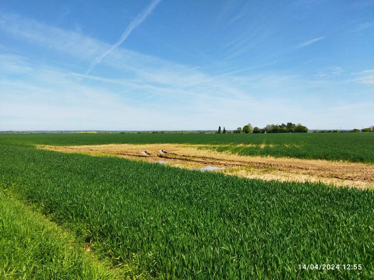 Il manque un quart de sole de cultures d'hiver, qui n'ont pas pu être semées en Gâtine, et en plaine, les parcelles argilo-calcaires ont noyé par endroits.