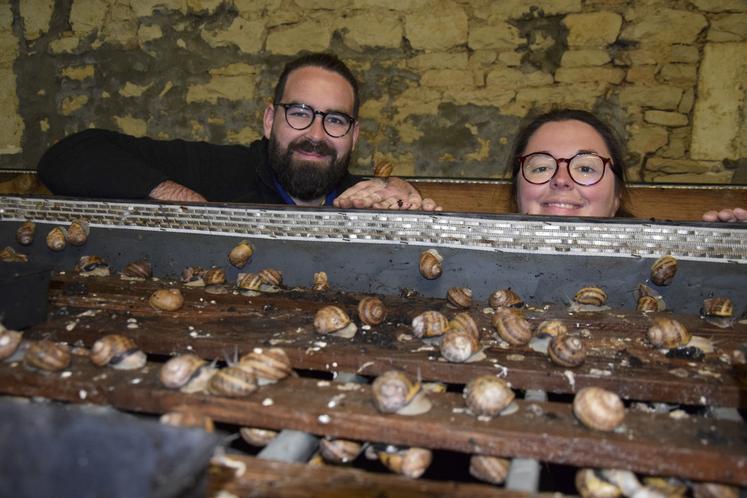 Guillaume Roux et Cassandra Bœuf veillent sur leurs escargots.