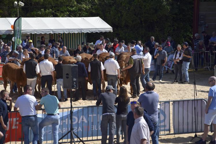 Plus d'une centaine d'animaux se sont succédé sur le ring pendant les deux jours du festival.