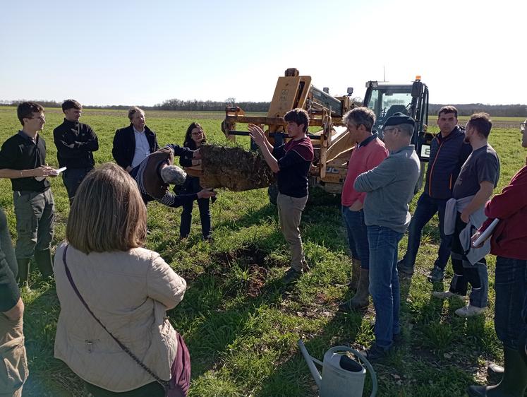 La démonstration a eu lieu sur une parcelle avec un couvert végétal mêlant trois graminées (avoine, seigle, triticale) et trois légumineuses (vesce commune, vesce velue, trèfle squarrosum).