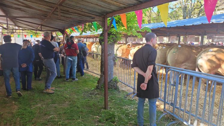 Le soleil, voire une chaleur inhabituelle pour la saison, était au rendez-vous pour la Foire de Saint-Maixent.