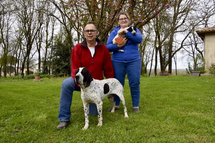 Jean-Louis et Solange Viaud avec Nox des Hauts de Rouillac, et un chiot de 7 semaines. Nox cumule de nombreux prix : champion de France adulte, champion d'Europe, champion d'Espagne, champion du Portugal, champion du monde, champion latino, champion du field trial, champion international de beauté...