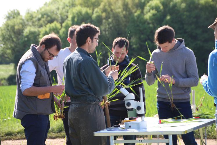 La journée permettra de comprendre les observations pertinentes. Photo d'archives. 