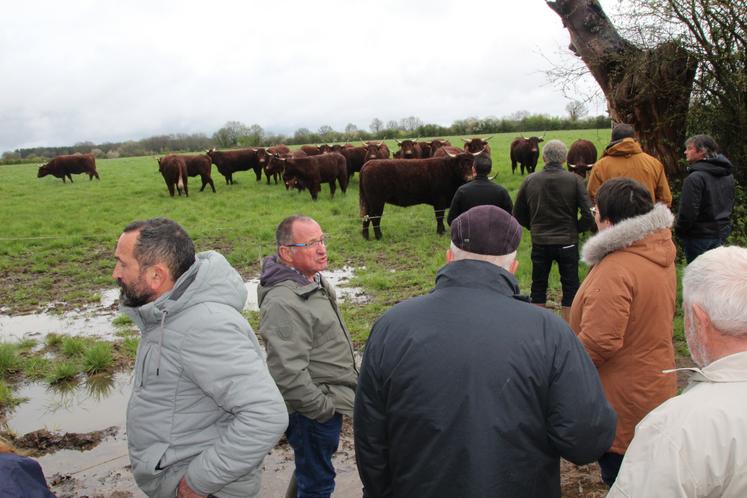 Une vingtaine d'éleveurs de salers se sont retrouvés sur l'exploitation de Damien Groseau (à gauche) à Charroux.
