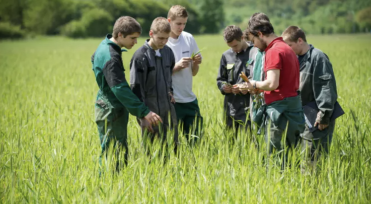 Un bachelor agricole (niveau bac +3) va être créé et des stages immersifs vont être organisés.