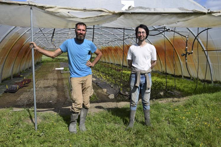 Adrien Appay et François Michel, les nouveaux maraîchers de l'espace test agricole.