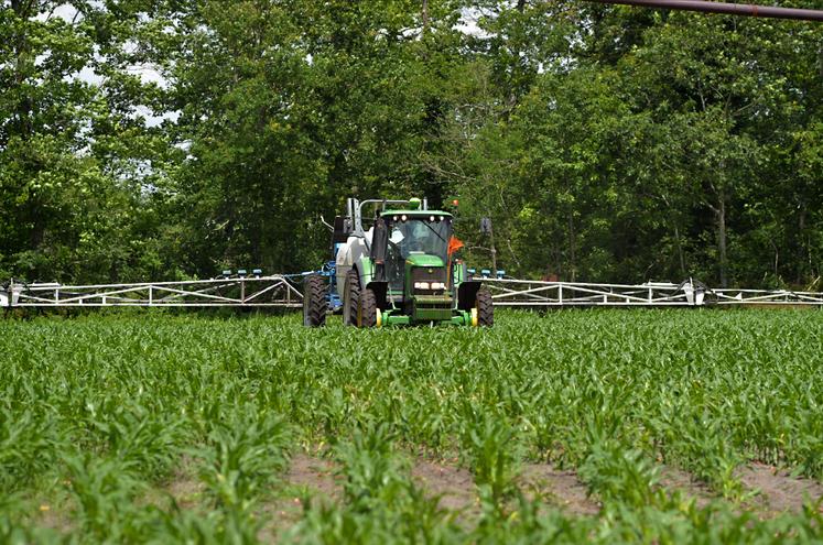 Le retour des pluies, mêmes légères (il suffit de 10 mm de pluie dans les dix jours suivants), va optimiser le désherbage effectué.