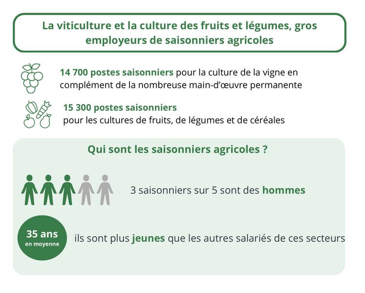 Emplois saisonniers en viticulture en Nouvelle-Aquitaine.