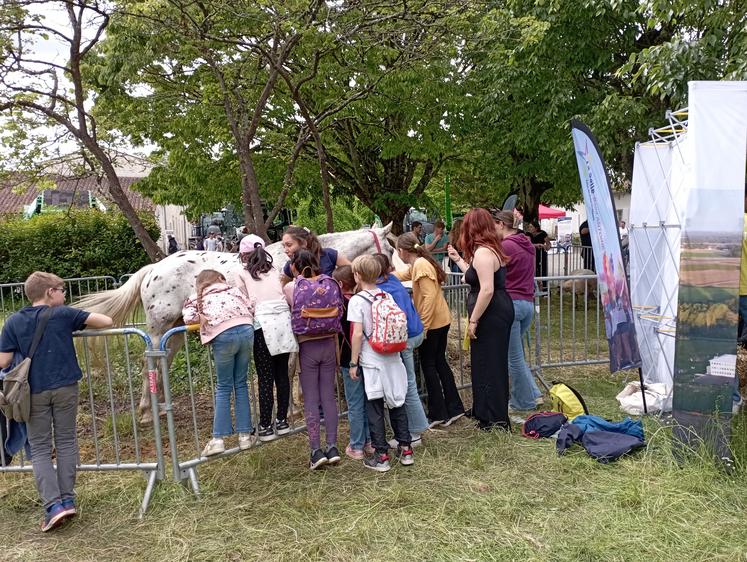 Les animaux, et en particulier les chevaux, ont rencontré comme à l'accoutumée beaucoup de succès auprès du jeune public.