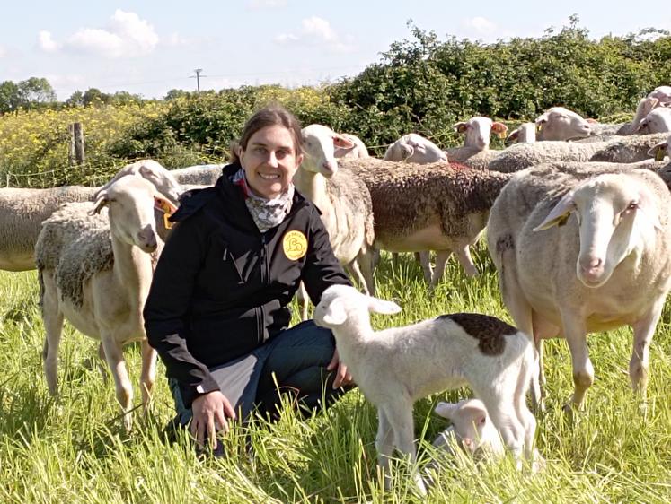 D'ici la fin de l'année, Audrey Tricard espère bien proposer des fromages de brebis.