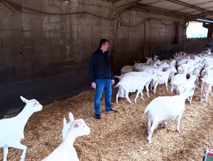 Exploitant agricole en individuel depuis 1993, Franck Moraud a rejoint une Earl en 2010. Il emploie un salarié à temps partiel. 