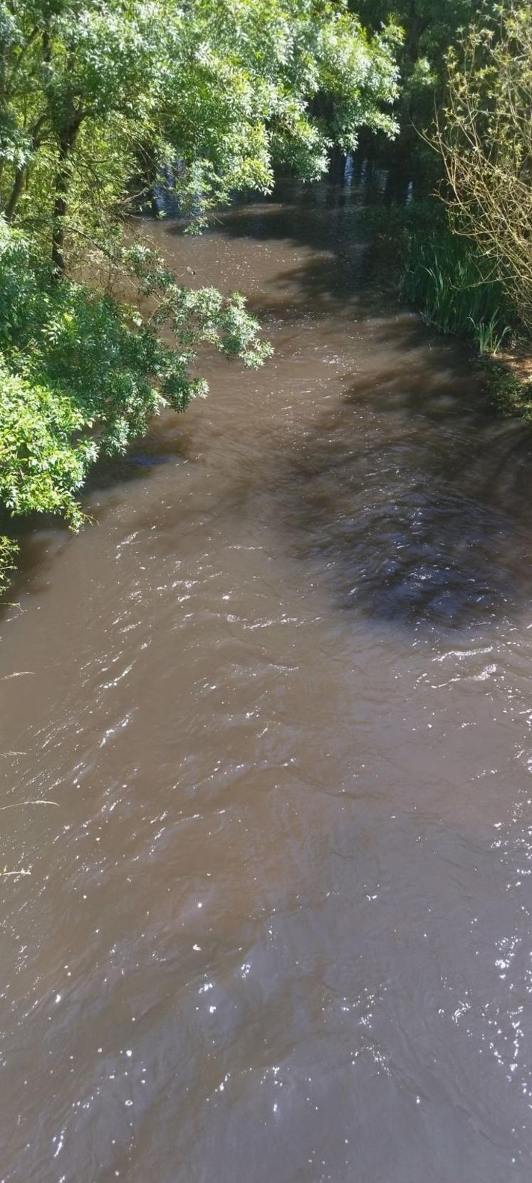 Le cours de l'Aume est devenu marron suite à cette pollution.