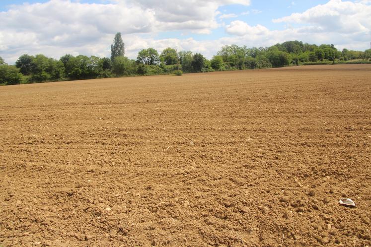 Certaines parcelles sont longtemps restées vides.