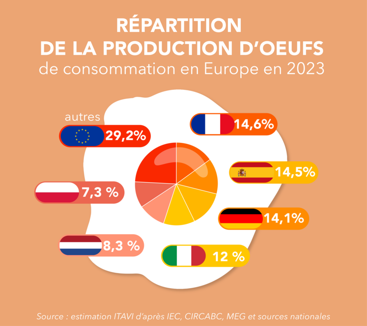 Répartition de la production d'œufs de consommation en Europe en 2023.