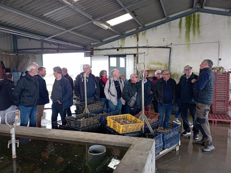 Les délégués des comités MSA Marennes Oléron et La Rochelle Océan ont visité l'exploitation ostréicole.