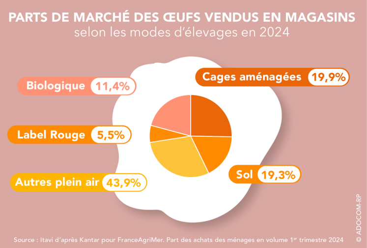 Parts de marché des œufs vendus en magasin selon les modes d'élevage en 2024.