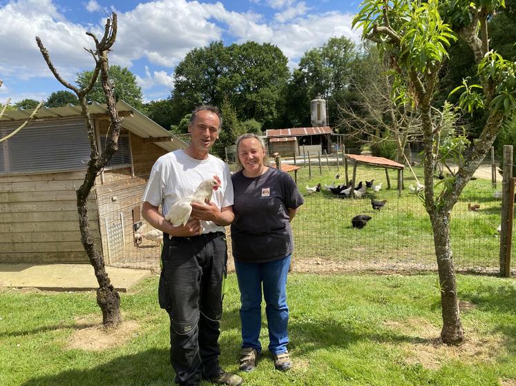 David et Michèle Rousseau viennent d'obtenir la "petite fleur jaune" du réseau Bienvenue à la ferme, comme une reconnaissance de leur élevage local et de la qualité de leurs produits. Lors des fêtes de fin d'année, ils proposent des repas à emporter à base de volailles.