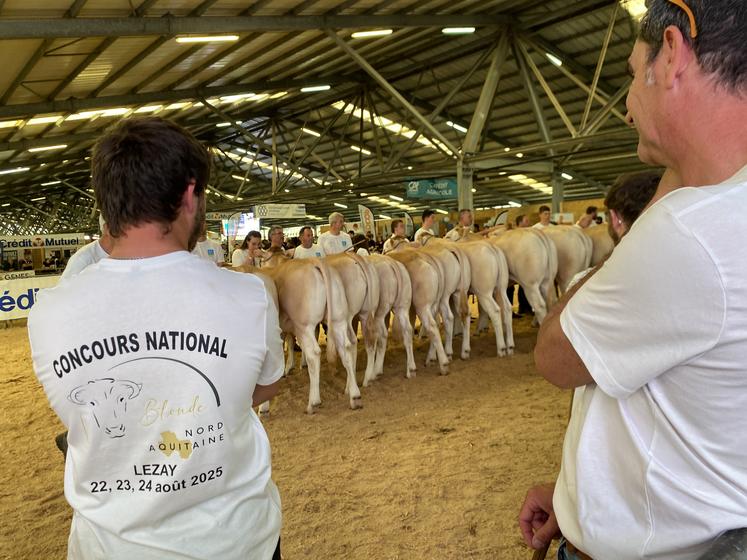 Les éleveurs de Blondes d'Aquitaine arboraient un t-shirt (offert par la Mutuelle de Poitiers) rappelant la tenue de leur National à Lezay, du 22 au 24 août 2025.