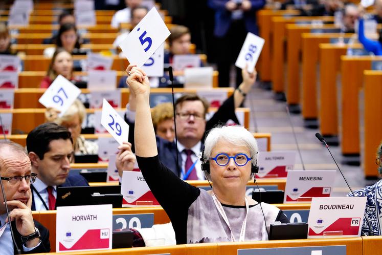 Isabelle Boudineau, élue régionale chargée des questions européennes, le 1er février dernier lors d'un vote Comité des Régions à Bruxelles.