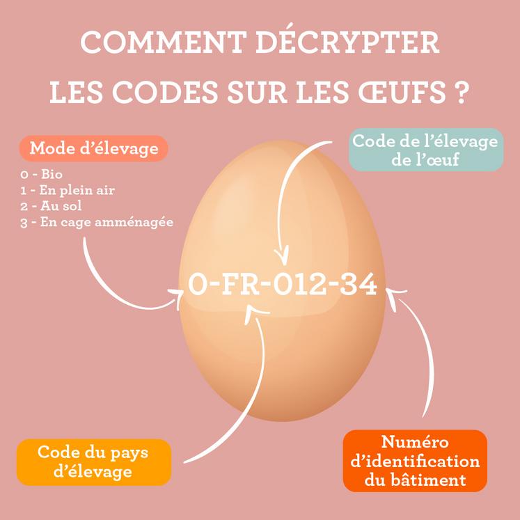 Décryptage des codes sur les œufs.