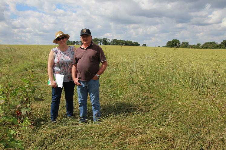 Myriam Voisine-Blanchard et son époux Alain sont fiers de leurs bandes mellifères qui coupent en deux une grande parcelle de 56 hectares.