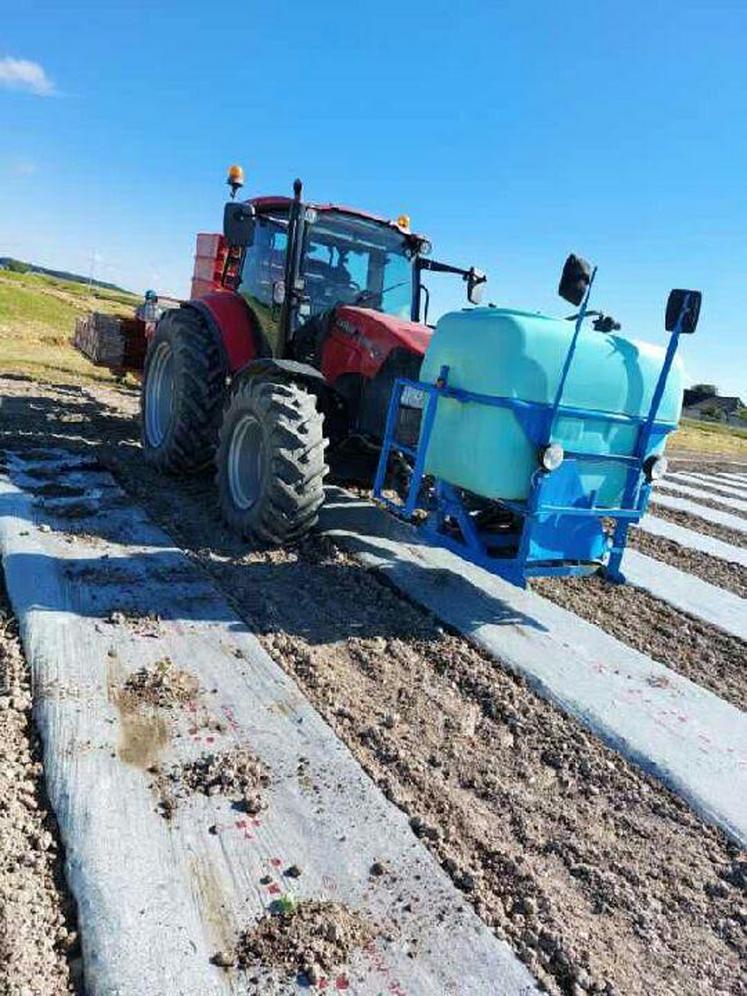 Les maraîchers profitaient des éclaircies pour poursuivre leurs plantations, comme ici à Thuré.