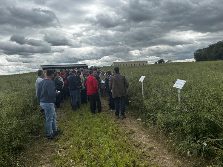 Près de 350 agriculteurs ont participé à la journée, et ont glané de précieux conseils auprès des techniciens.