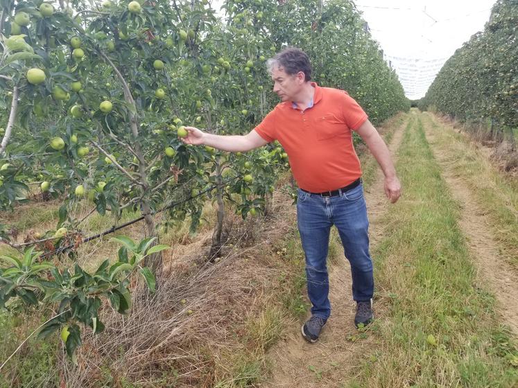 Christophe Couteleau fait partie des arboriculteurs de Pom'Évasion qui fourniront leurs fruits au Village olympique.