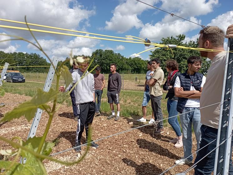 Une vingtaine de personnes ont échangé avec Louison Grollet sur son parcours à l'installation.