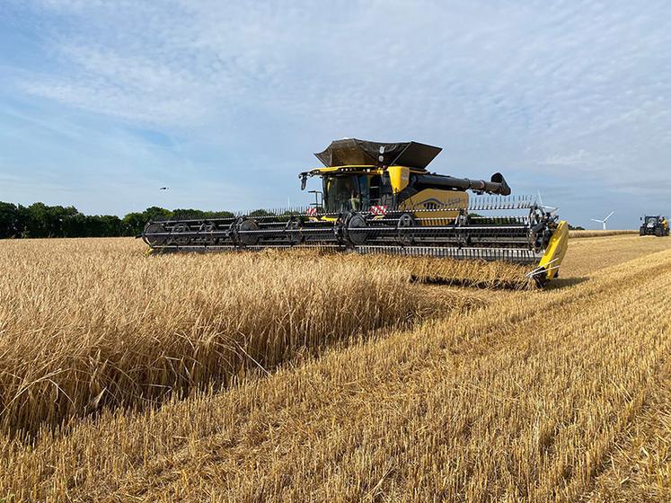 La petite dernière de chez New Holland, la CR 11 a été présentée, jeudi 27 juin, à Essouvert.