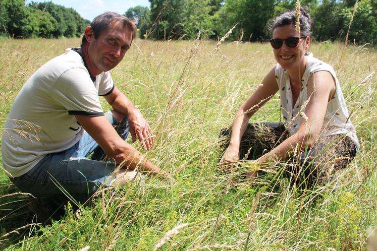 Le concours "Prairies et parcours" met en avant les services rendus par les prairies naturelles.