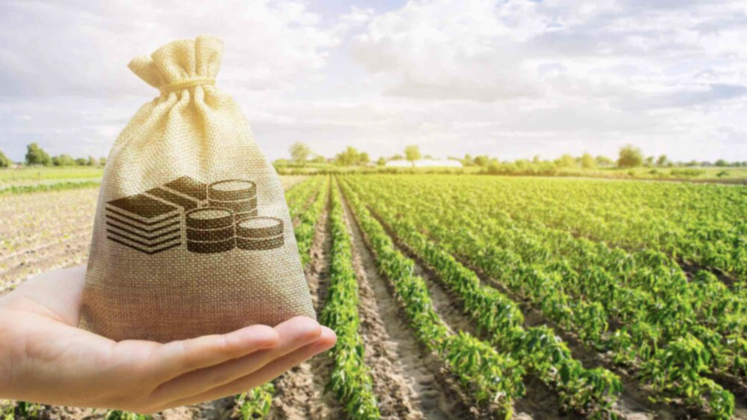 Après deux années de hausse de la valeur de la production agricole française, le repli est de 1,5 % en 2023.