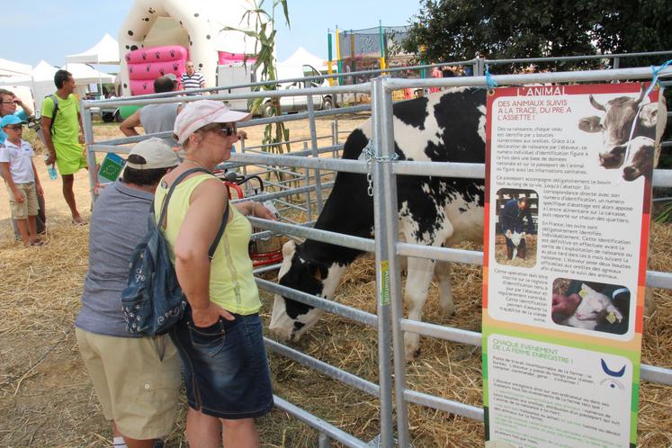 Plusieurs races d'animaux seront présentes tout le week-end, regroupées au sein du pôle Animal (photo d'archives).