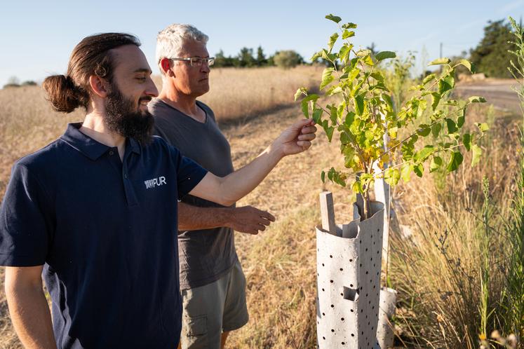 Le paillage et les manchons bas sont biodégradables. 