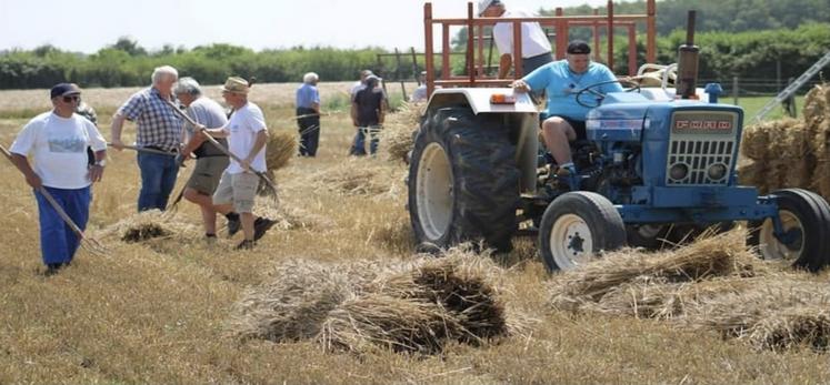 Les battages à l'ancienne feront partie des animations dans l'près-midi.