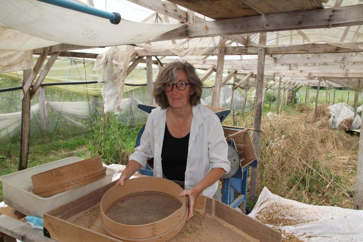 Carine Lam est productrice de semences paysannes en agriculture biologique à SenilléSaint-Sauveur. Elle utilise les tamis fabriqués dans la Vienne depuis son installation en 2020.