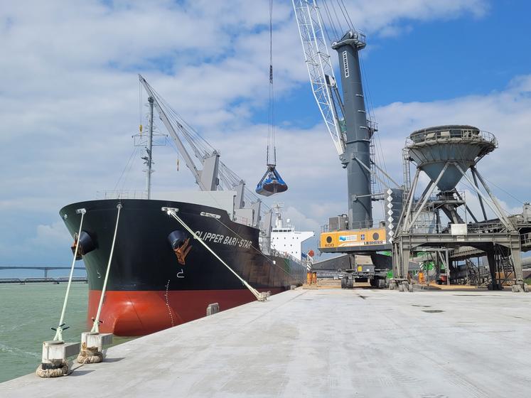 Le Port Atlantique la Rochelle semble reprendre des couleurs du côté des exportations, avec une campagne céréalière en augmentation de 16 %, soit 3,9 millions de tonnes 