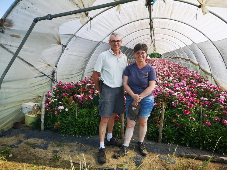 Vincent et Maud sont partis de peu de moyens pour devenir agriculteurs multiplicateurs. Ils assurent désormais l'approvisionnement des filières florales et potagères reconnues.