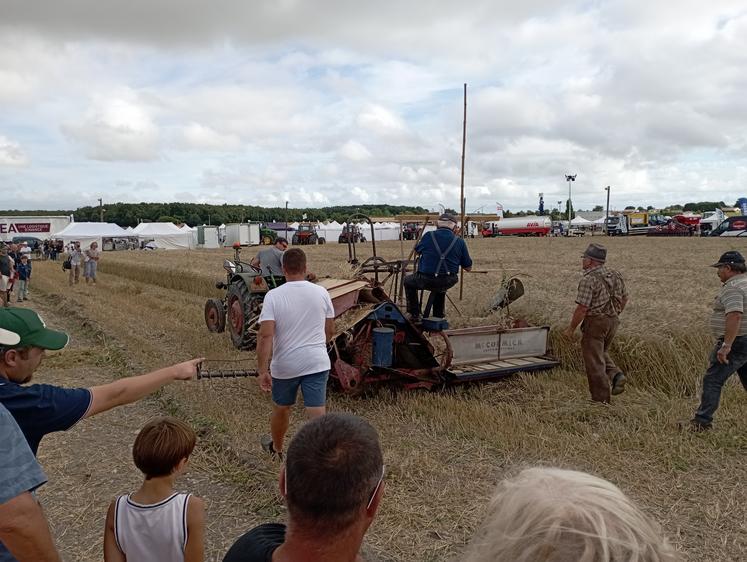 Une démonstration de moissons puis de battage à l'ancienne était assurée par la Confrérie des Talmeliers.