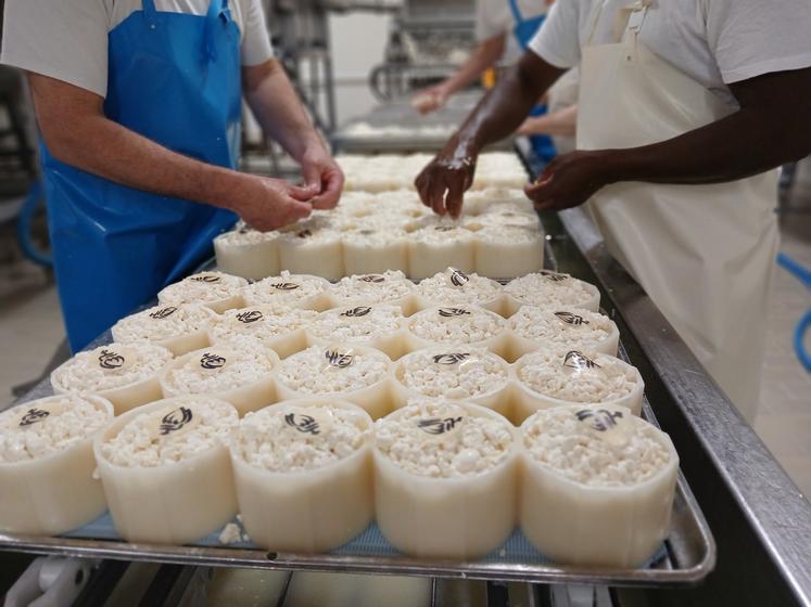 L'ULVV transforme chaque année 5 millions de litres de lait de vache et chèvre.