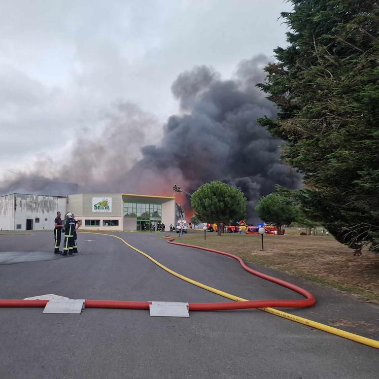 Incendie de l'usine Sphère Production (Océalia) à St-Genis-de-Saintonge (17), le 31 juillet 2024.