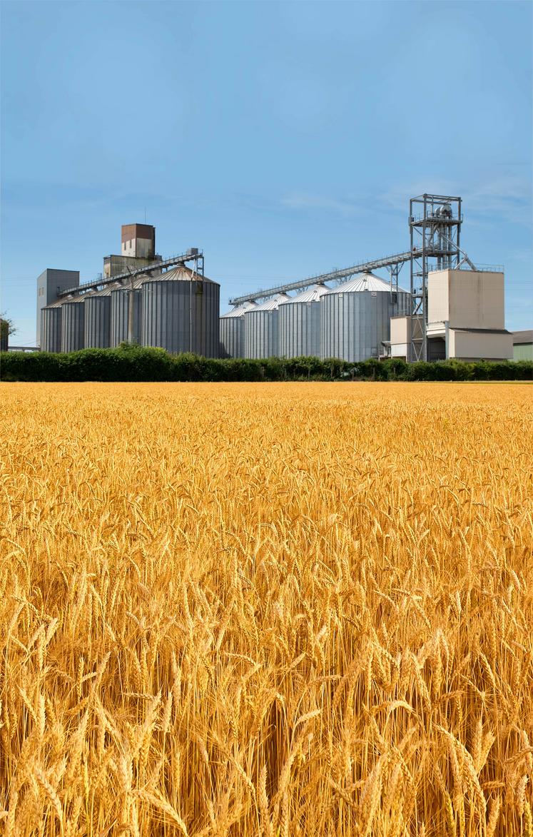 Dans sa zone gâtinaise, le négoce VSN recense 50 à 70 % de surfaces de céréales non semés (photo silo d'Usseau).