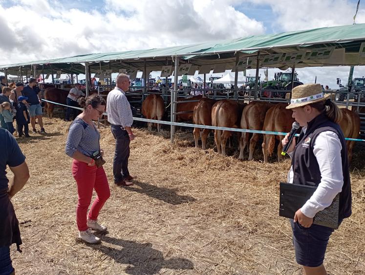 Le concours bovin de race limousine organisé par le Seurbli 17 a eu lieu le samedi après-midi (le matin étant trop humide).