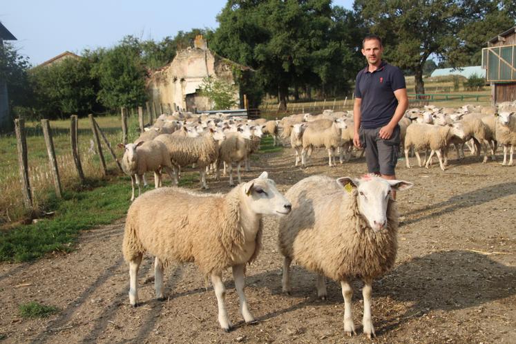 Quentin Chausteur estime que les informations sur la progression du serotype-3 ont manqué, y compris auprès des professionnels et de l'administration.