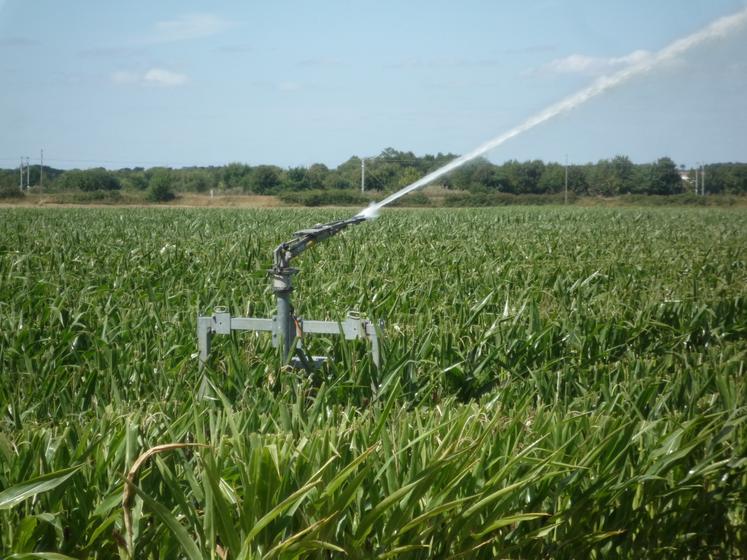 La décision a imposé une baisse des volumes de l'ordre de 40 % pour le bassin du Curé, mettant en danger l'irrigation pour les futures campagnes.