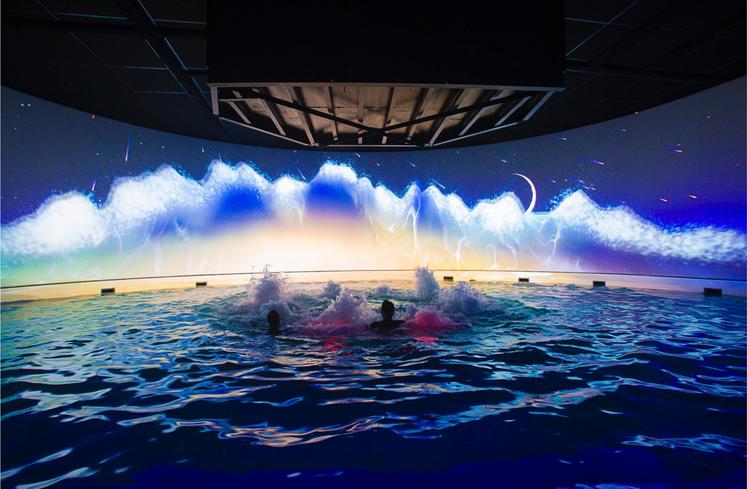 L'Aquascope, qui a ouvert le 15 juillet en face du Futuroscope, fait partie des sites qui ont eu une bonne fréquentation.