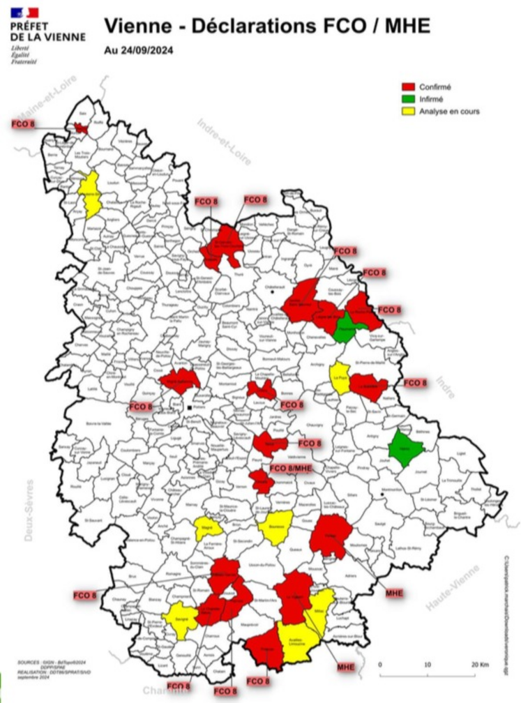 Au 24 septembre, 11 cas de FCO-8 et 3 de MHE avaient été confirmés dans la Vienne. Cette carte est mise à jour le vendredi et est donc peut-être déjà obsolète.